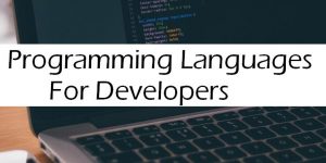 What programming languages are essential for web developers?