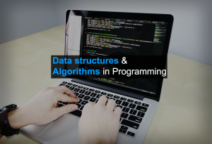 Why data structures and algorithms are so important for programming?